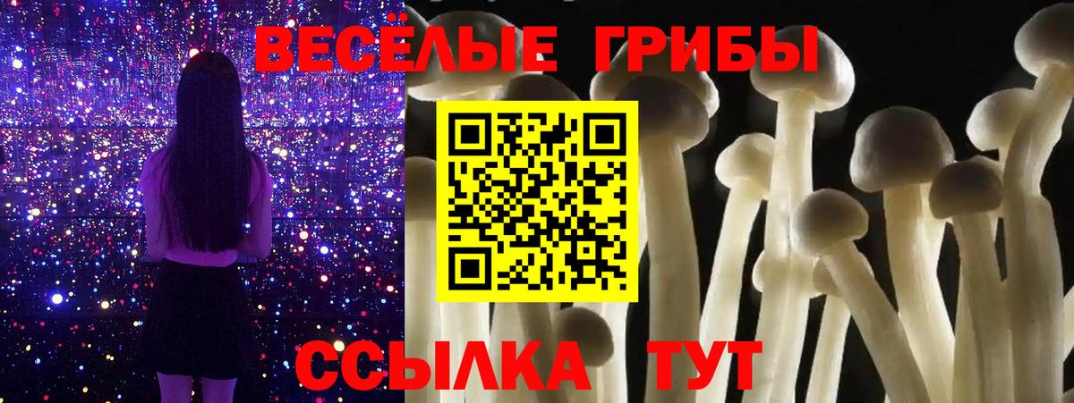 Богородск  Псилоцибиновые грибы ЛСД  Галлюциногенные грибы MAGIC MUSHROOMS  Вход с VPN 